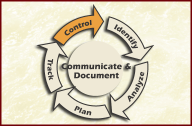 Figure Control Risk Management Paradigm